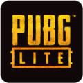 PUBG Lite